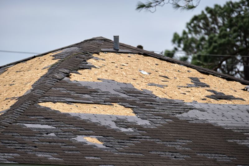 Damaged Roof Before Reshingling